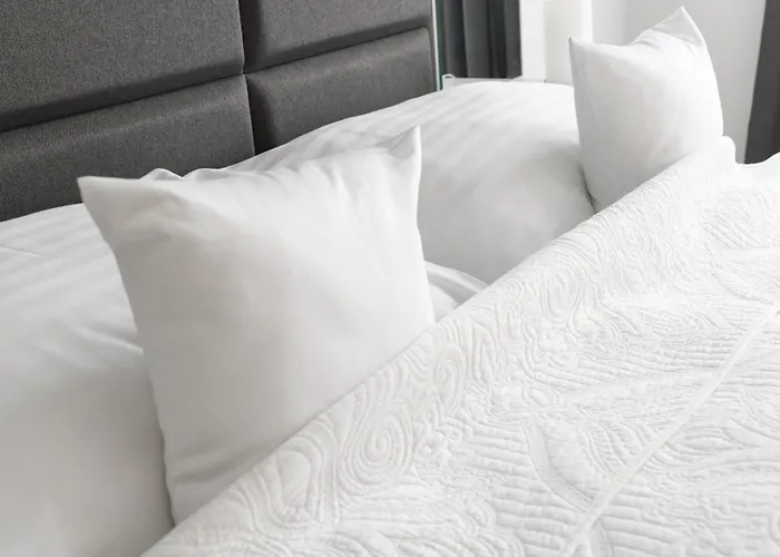 Alexander Library Apartman